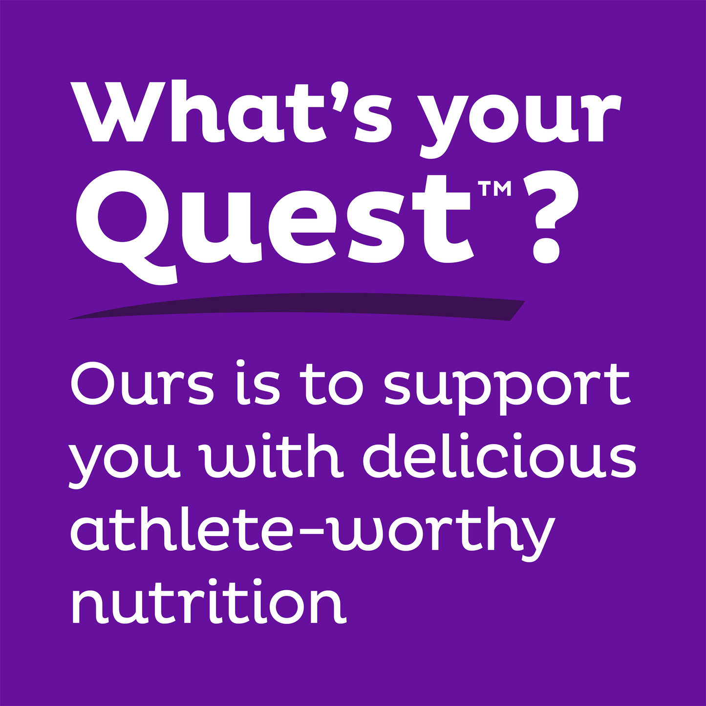 double-chocolate-chunk-protein-bars-h2 qst-000241_double-chocolate-chunk-protein-bars_9.png